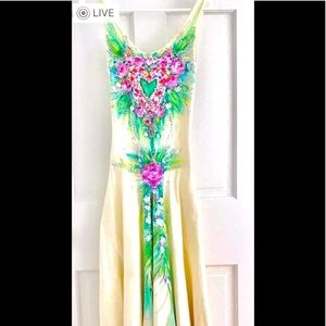 Hearts & Flowers Ballet Dress S